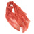 rust red scarf for women